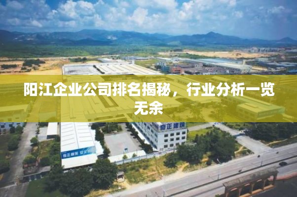 阳江企业公司排名揭秘,行业分析一览无余