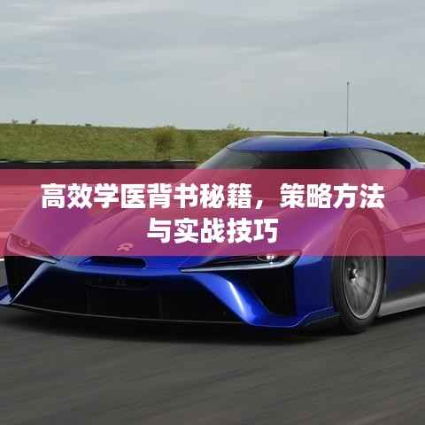 高效学医背书秘籍,策略方法与实战技巧
