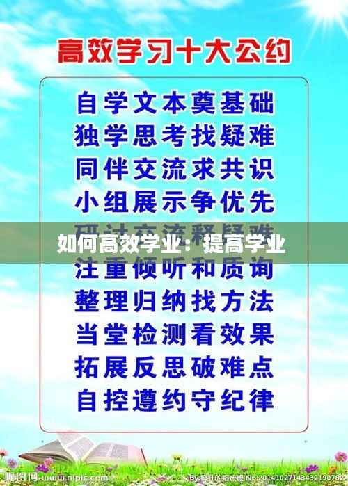 如何高效学业:提高学业