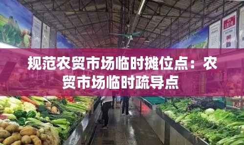 规范农贸市场临时摊位点：农贸市场临时疏导点 