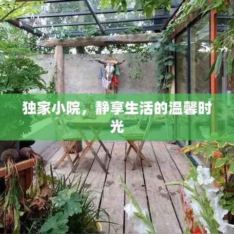独家小院,静享生活的温馨时光