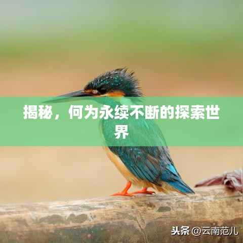 揭秘,何为永续不断的探索世界
