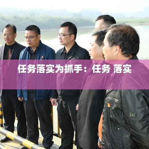 任务落实为抓手:任务 落实