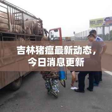 吉林猪瘟最新动态,今日消息更新