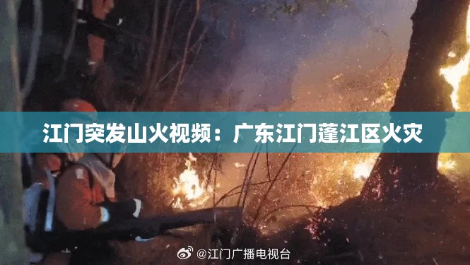 江门突发山火视频:广东江门蓬江区火灾