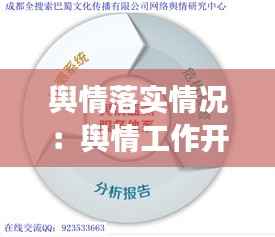 舆情落实情况：舆情工作开展情况 