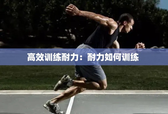 高效训练耐力:耐力如何训练