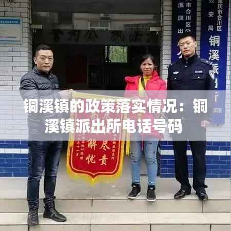 铜溪镇的政策落实情况:铜溪镇派出所电话号码