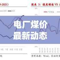 电厂煤价最新动态,今日价格分析与趋势解读