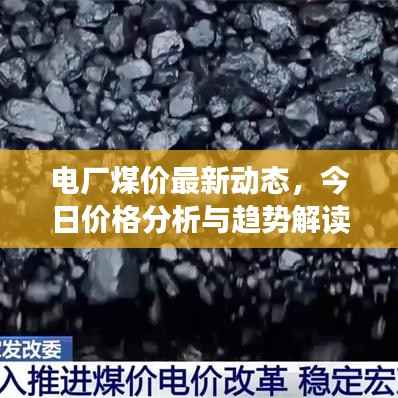 电厂煤价最新动态,今日价格分析与趋势解读