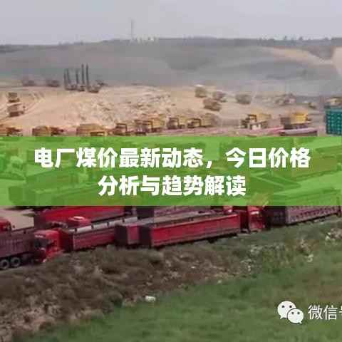 电厂煤价最新动态,今日价格分析与趋势解读