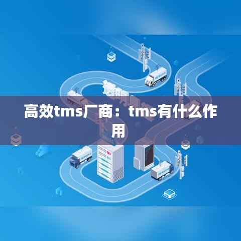 高效tms厂商：tms有什么作用 
