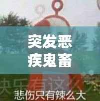突发恶疾鬼畜配音：突发恶疾表情包 