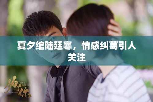 夏夕绾陆廷寒,情感纠葛引人关注