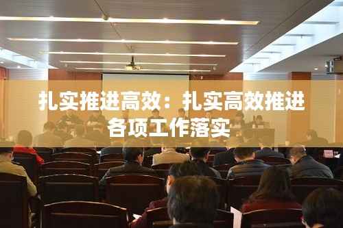 扎实推进高效:扎实高效推进各项工作落实