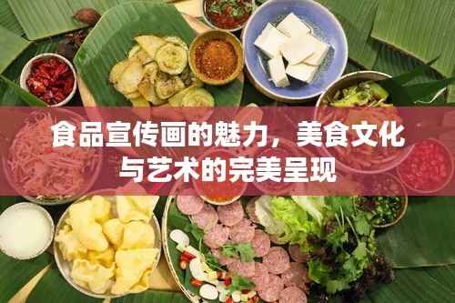 食品宣传画的魅力,美食文化与艺术的完美呈现