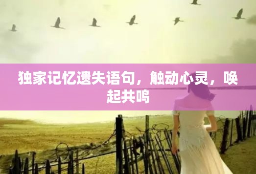 独家记忆遗失语句,触动心灵,唤起共鸣