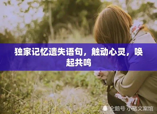 独家记忆遗失语句,触动心灵,唤起共鸣