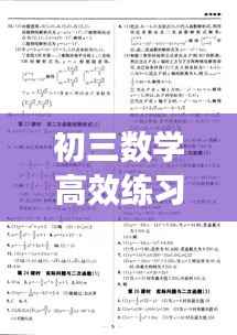 初三数学高效练习册:高效课堂九年级数学