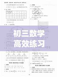 初三数学高效练习册:高效课堂九年级数学