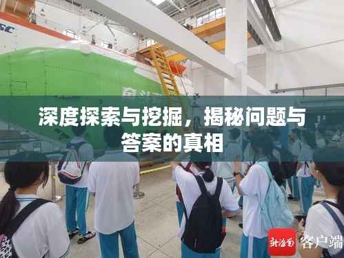 深度探索与挖掘，揭秘问题与答案的真相