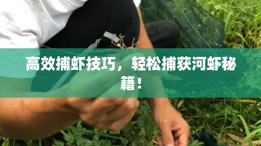 高效捕虾技巧,轻松捕获河虾秘籍!