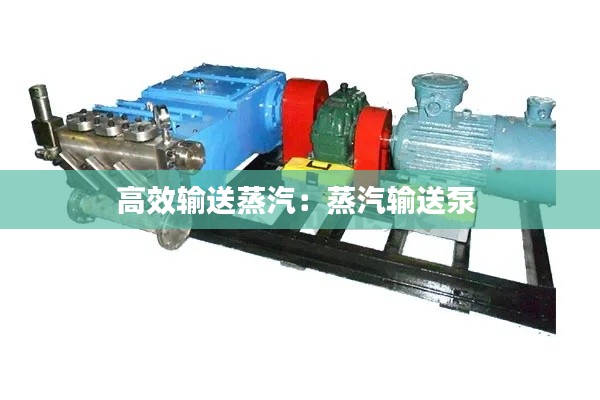 云屯鸟散 第4页