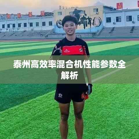 泰州高效率混合机性能参数全解析