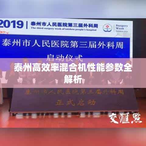 泰州高效率混合机性能参数全解析
