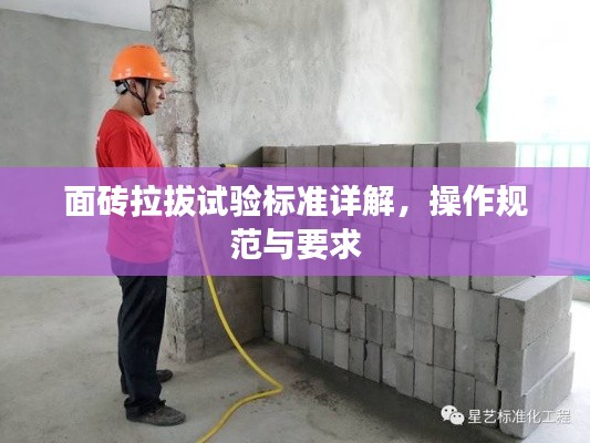 面砖拉拔试验标准详解,操作规范与要求