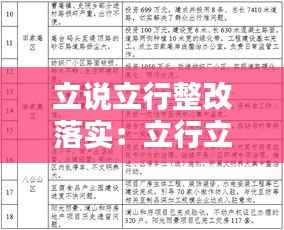 立说立行整改落实:立行立改落实情况
