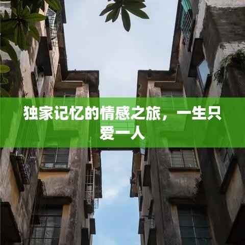 独家记忆的情感之旅,一生只爱一人