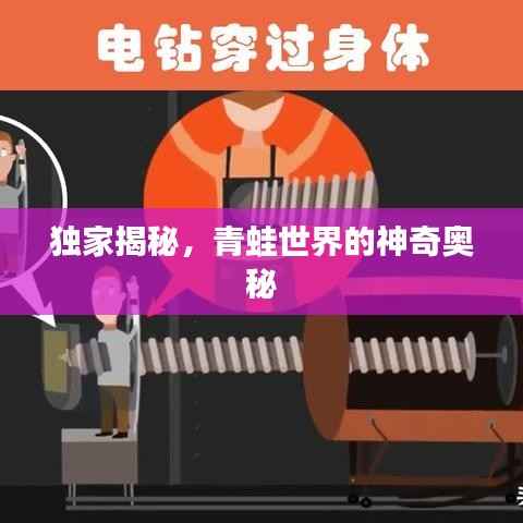 独家揭秘，青蛙世界的神奇奥秘