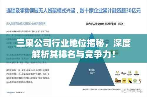 三果公司行业地位揭秘,深度解析其排名与竞争力!