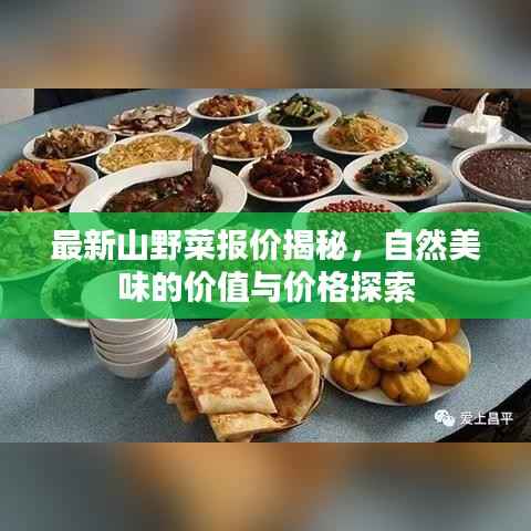 最新山野菜报价揭秘,自然美味的价值与价格探索