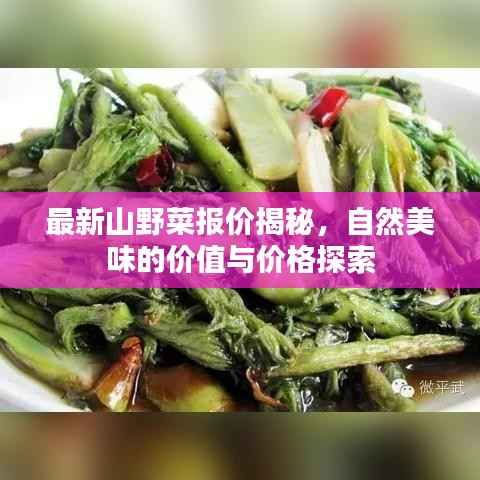 最新山野菜报价揭秘,自然美味的价值与价格探索