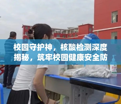 校园守护神,核酸检测深度揭秘,筑牢校园健康安全防线