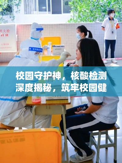 校园守护神,核酸检测深度揭秘,筑牢校园健康安全防线
