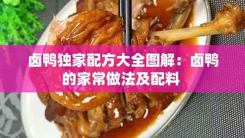 卤鸭独家配方大全图解:卤鸭的家常做法及配料