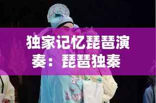 独家记忆琵琶演奏:琵琶独秦