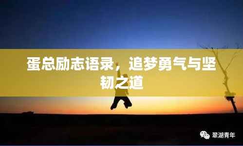 蛋总励志语录，追梦勇气与坚韧之道