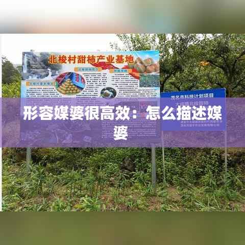 形容媒婆很高效:怎么描述媒婆