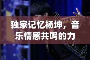 独家记忆杨坤,音乐情感共鸣的力量与深度解读