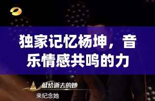 独家记忆杨坤,音乐情感共鸣的力量与深度解读