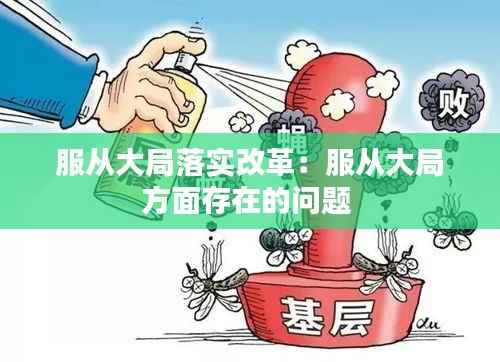 服从大局落实改革：服从大局方面存在的问题 