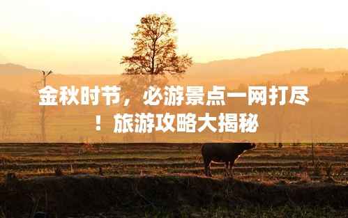 金秋时节,必游景点一网打尽!旅游攻略大揭秘
