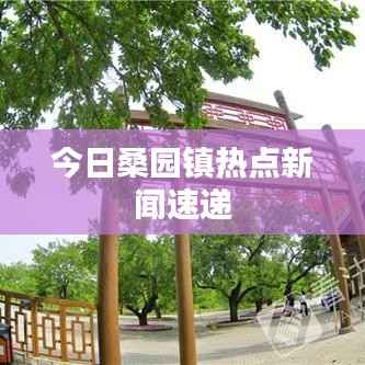 今日桑园镇热点新闻速递