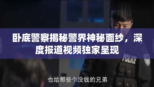 卧底警察揭秘警界神秘面纱,深度报道视频独家呈现