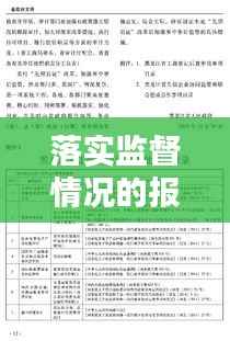 落实监督情况的报告:监督管理措施落实情况