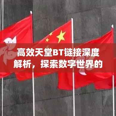 高效天堂BT链接深度解析,探索数字世界的奥秘